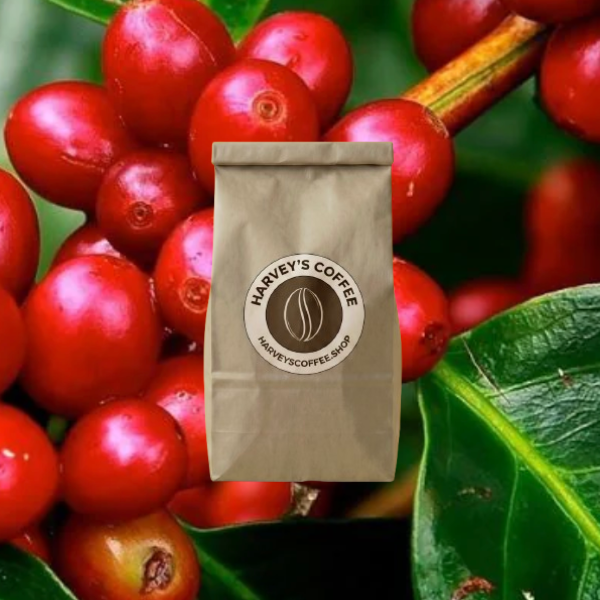Honduras Reserva Pacavita - 12 ounces