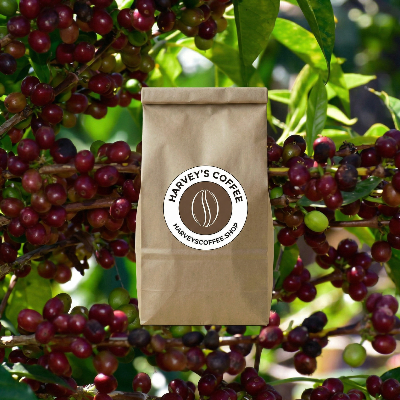 Decaf Colombia Valle Del Cauca Sugarcane - 12 ounces