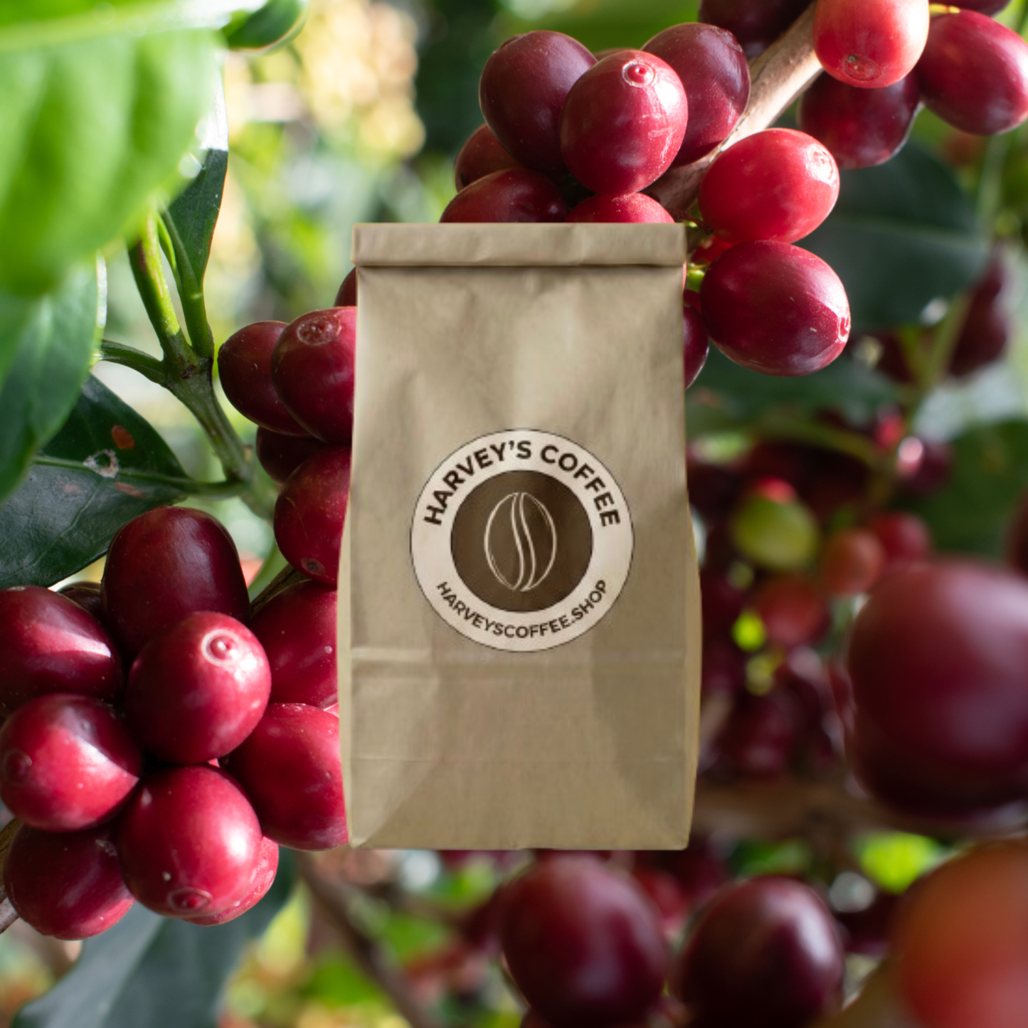 Colombia Huila Pitalito - 12 ounces
