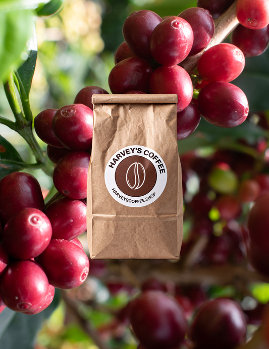 Colombia Huila Pitalito - 12 ounces